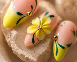 Citrus Bloom ￼